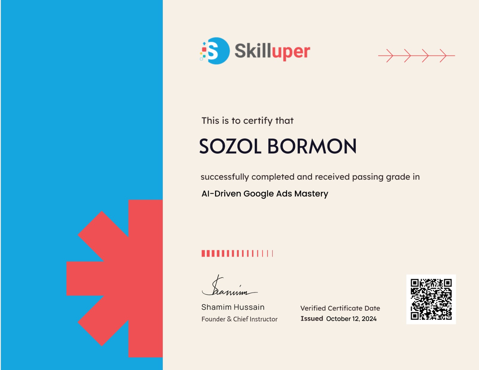 Google Premier Partner Certificate of Freelancer Sozol